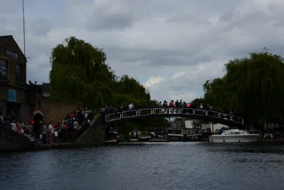 DSC_2779 (Large).JPG